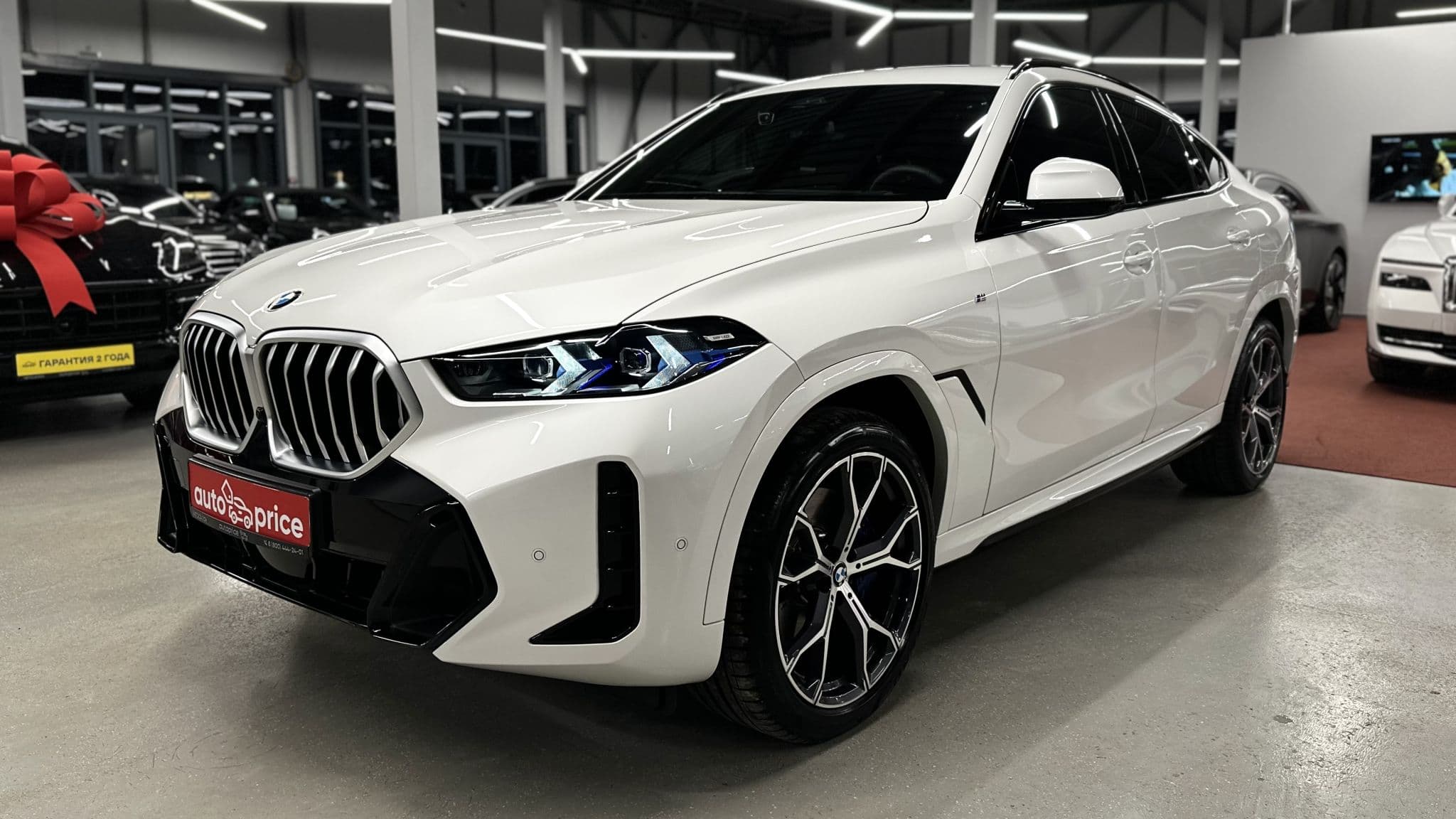 BMW X6 - 1