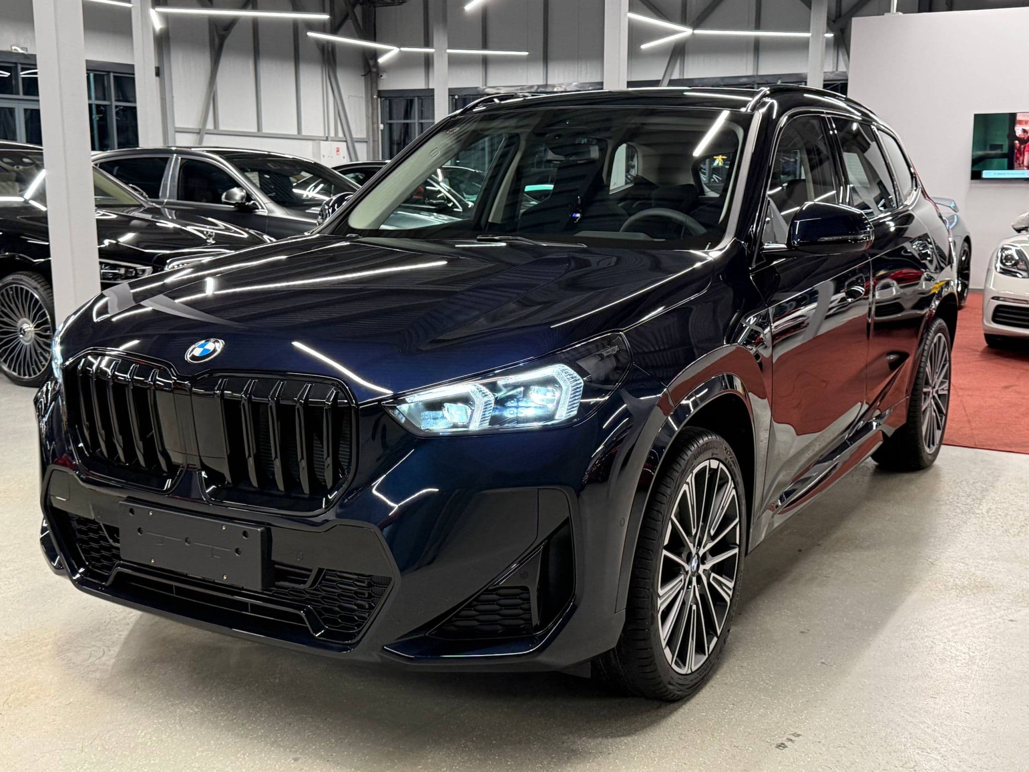 BMW X1 - 1