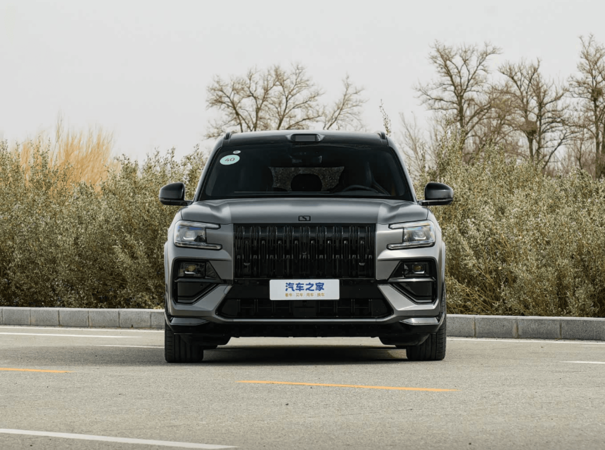 Zeekr 8X - 2