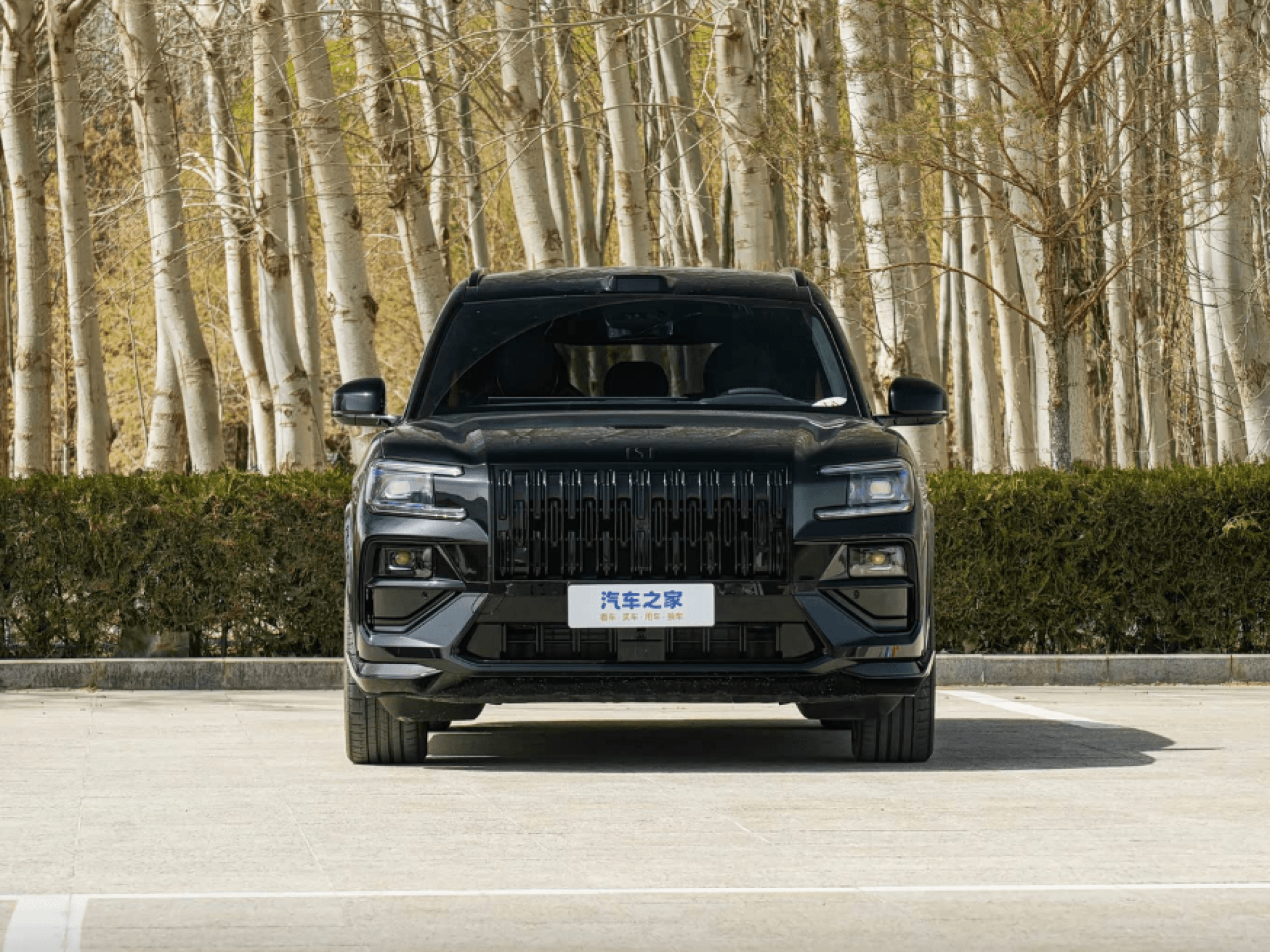 Zeekr 8X - 2