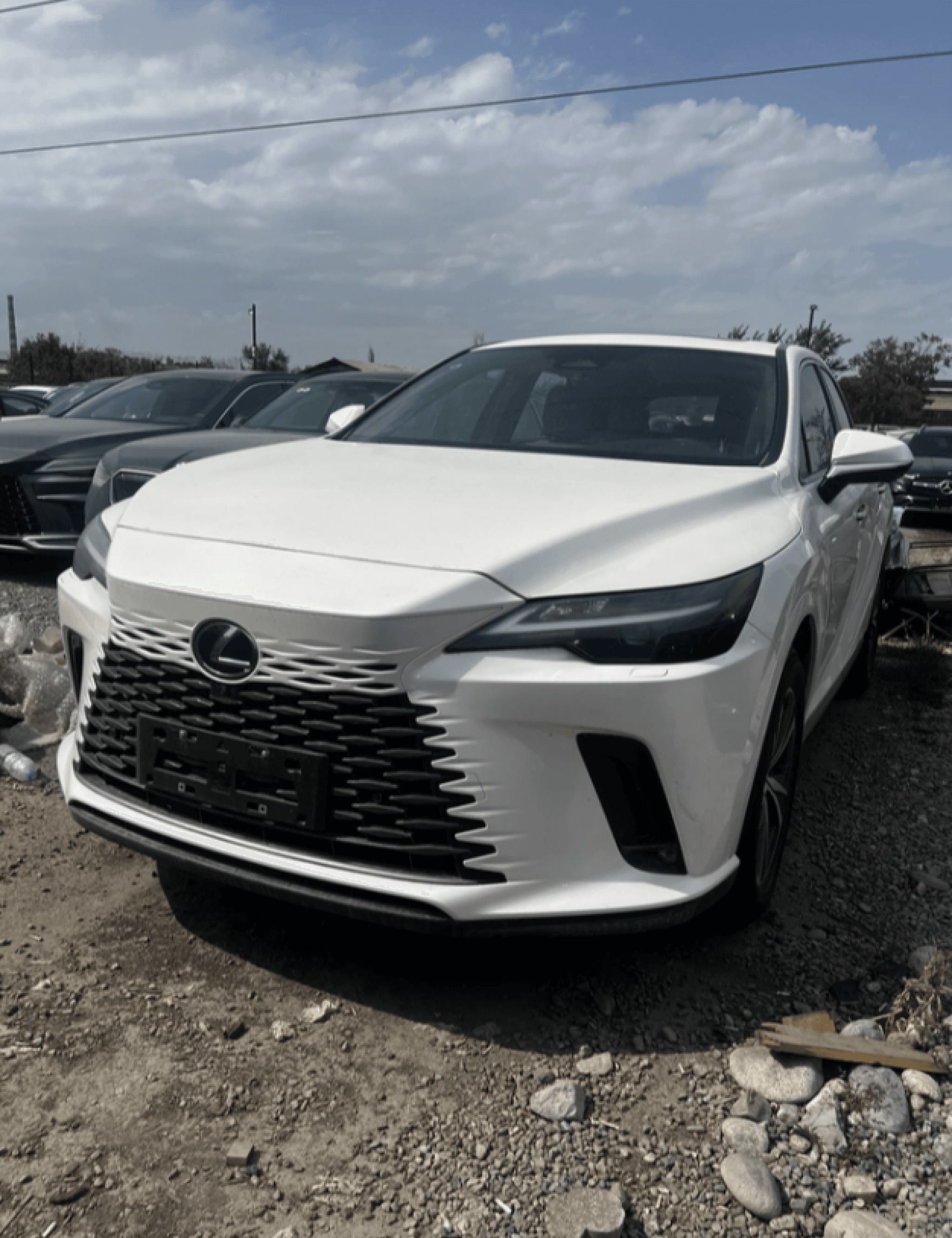 Lexus RX - 1